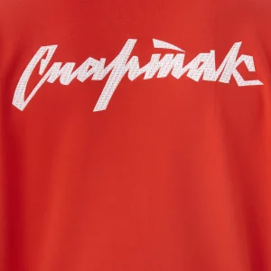 Спартак-29-5-25-33105